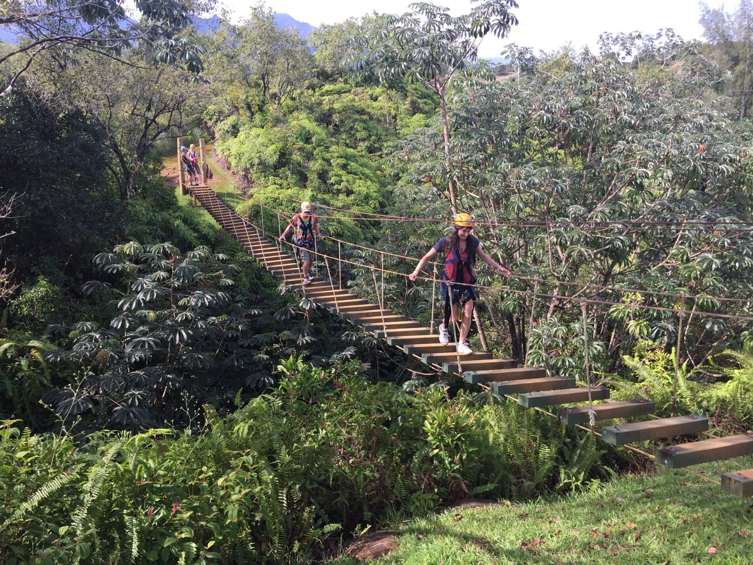 Kauai Visitors