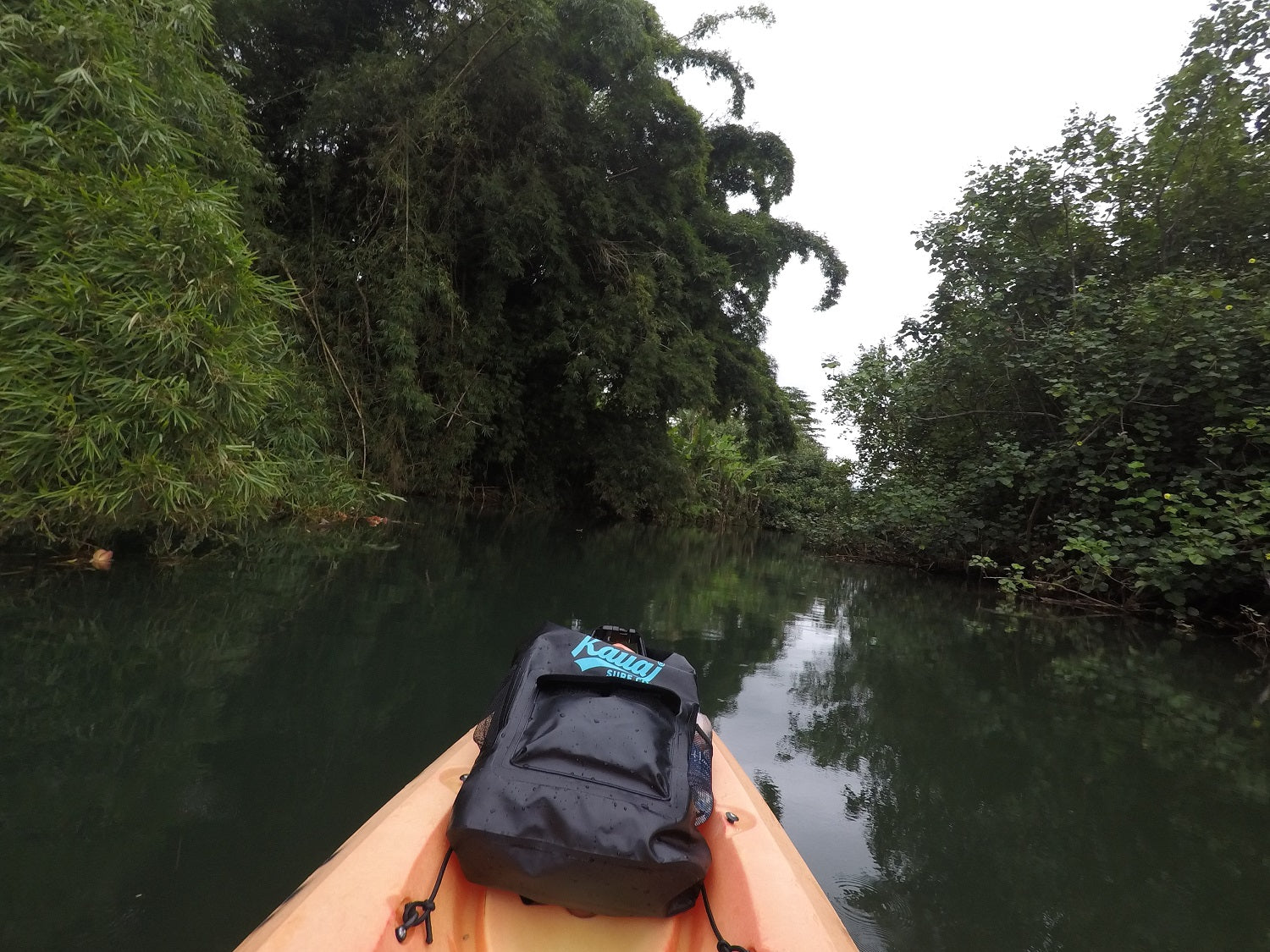 Hanalei River Kayak