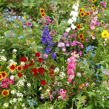 Moist Seed Mix — Gardens of The Blue Ridge