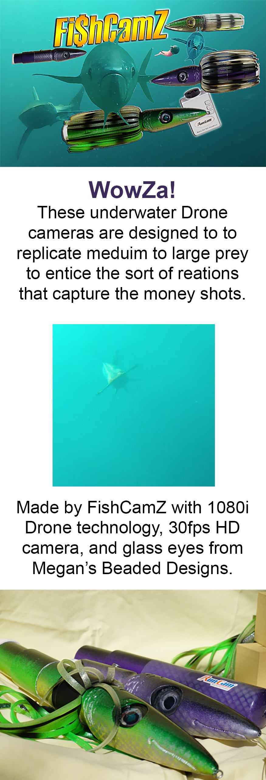 Underwater Fish Cameras