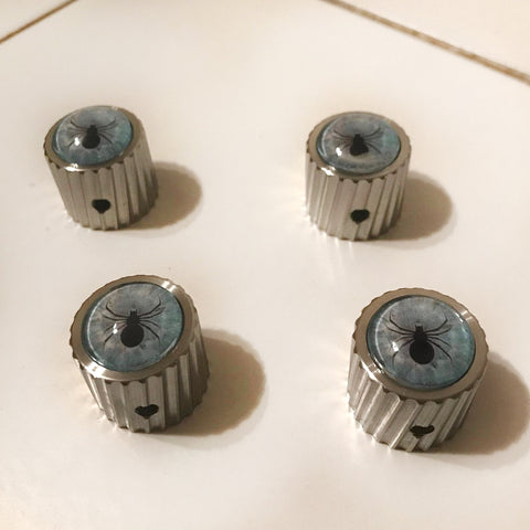 steel instrument knobs with blue spider glass eyes