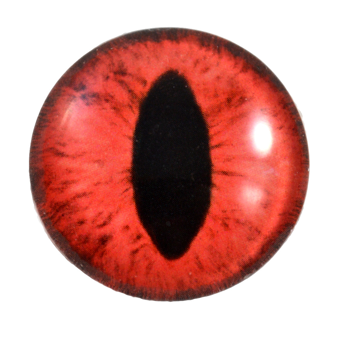 25mm Glass Red Cat Eye 1024x1024@2x.JPG?v=1510253224