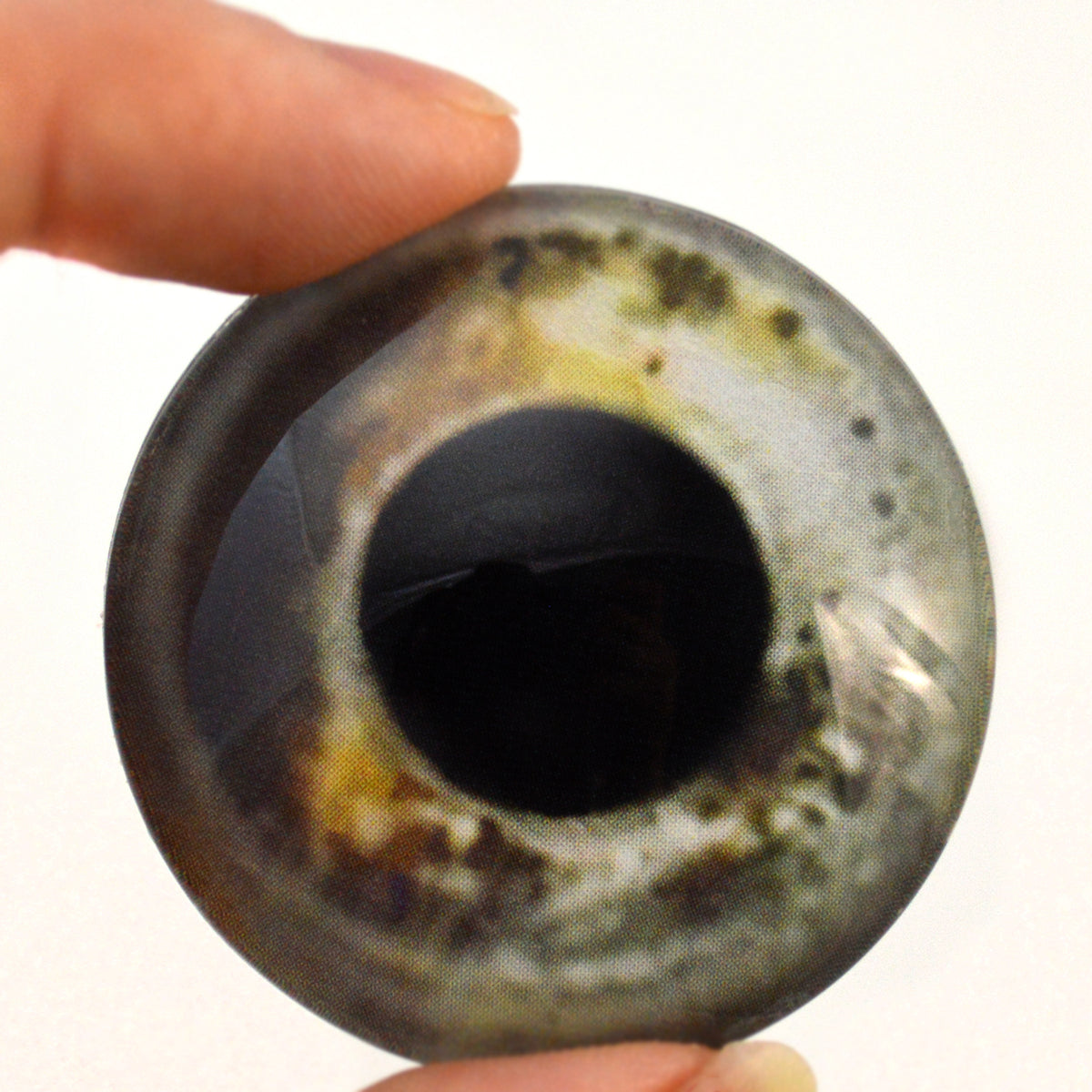  Koi  Fish  Glass Eyes  Handmade Glass Eyes 