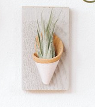 Tiny Wall Planter