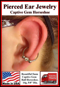 conch sterilized horseshoe ear