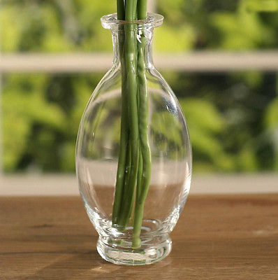 bulb glass bottle