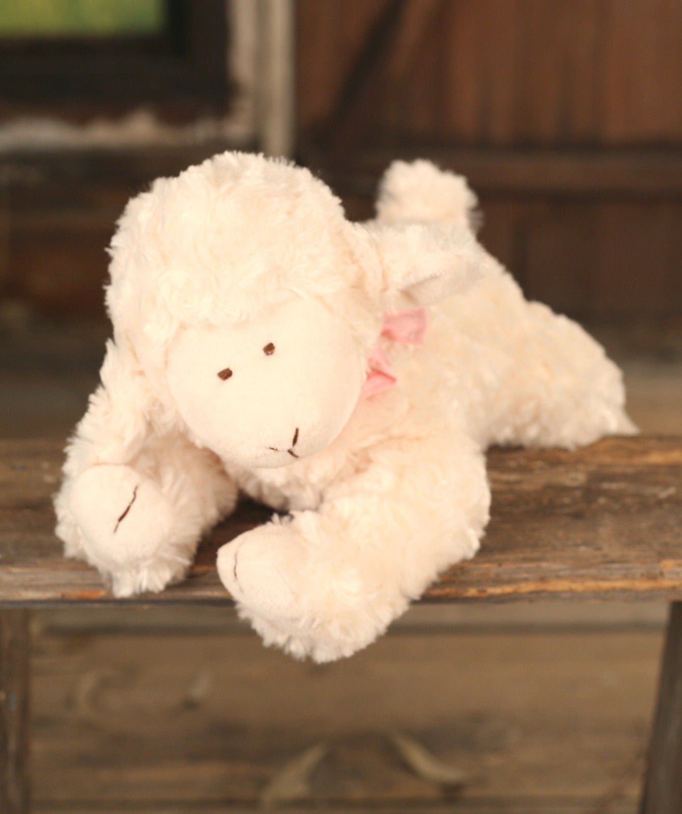 teddy bear lamb