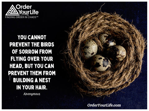 You cannot prevent the birds of sorrow from flying over your head, but you can prevent them from building a nest in your hair. ~ Anonymous