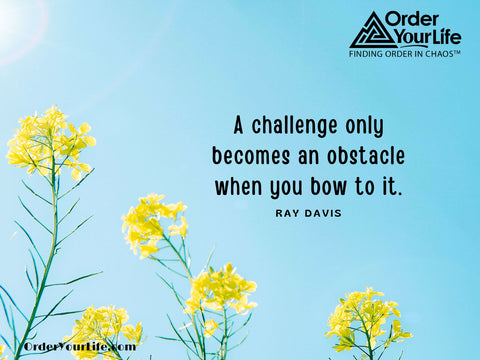 A challenge only becomes an obstacle when you bow to it. ~ Ray Davis