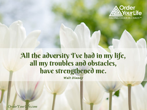 All the adversity I’ve had in my life, all my troubles and obstacles, have strengthened me. ~ Walt Disney