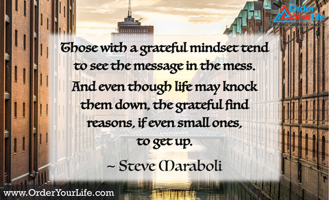 Those with a grateful mindset tend to see the message in the mess. And even though life may knock them down, the grateful find reasons, if even small ones, to get up. ~ Steve Maraboli