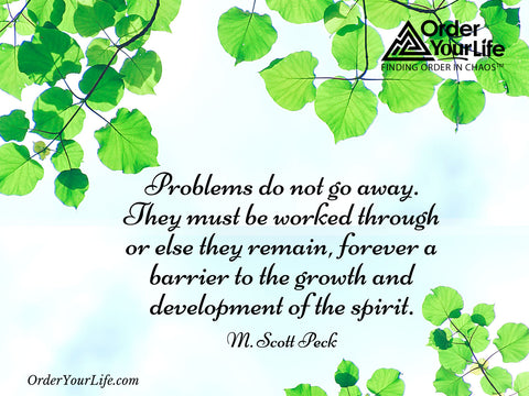 Problems do not go away. They must be worked through or else they remain, forever a barrier to the growth and development of the spirit. ~ M. Scott Peck