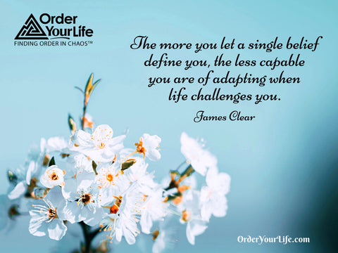 The more you let a single belief define you, the less capable you are of adapting when life challenges you. ~ James Clear