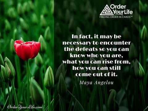 In fact, it may be necessary to encounter the defeats so you can know who you are, what you can rise from, how you can still come out of it. ~ Maya Angelou