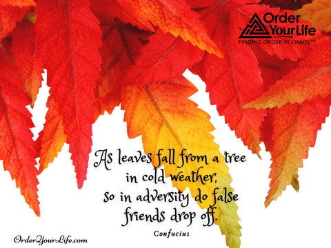 As leaves fall from a tree in cold weather, so in adversity do false friends drop off. ~ Confucius
