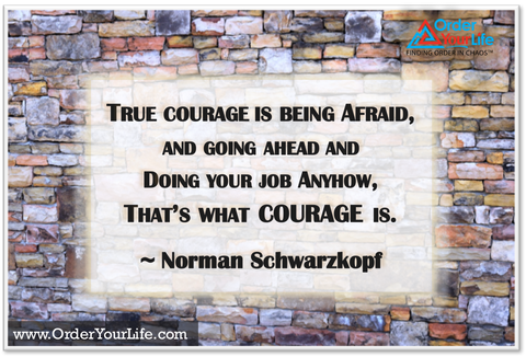 True courage is being afraid, and going ahead and doing your job anyhow, that’s what courage is. ~ Norman Schwarzkopf