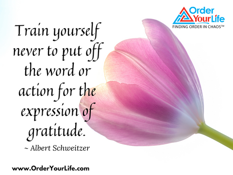 Train yourself never to put off the word or action for the expression of gratitude. ~ Albert Schweitzer
