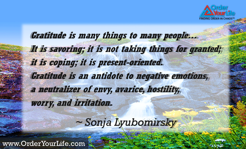 Gratitude is many things to many people…It is savoring; it is not taking things for granted; it is coping; it is present-oriented.  Gratitude is an antidote to negative emotions, a neutralizer of envy, avarice, hostility, worry, and irritation. ~ Sonja Lyubomirsky