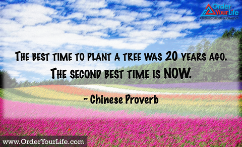 The best time to plant a tree was 20 years ago. The second best time is now. ~ Chinese Proverb