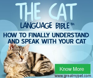 cat bible