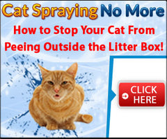 Cat Spray Stop Greatmypet