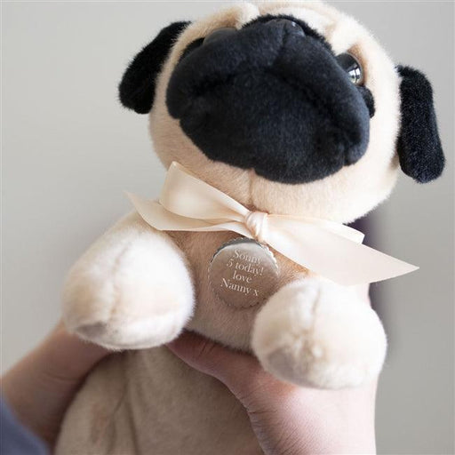 personalised pug teddy