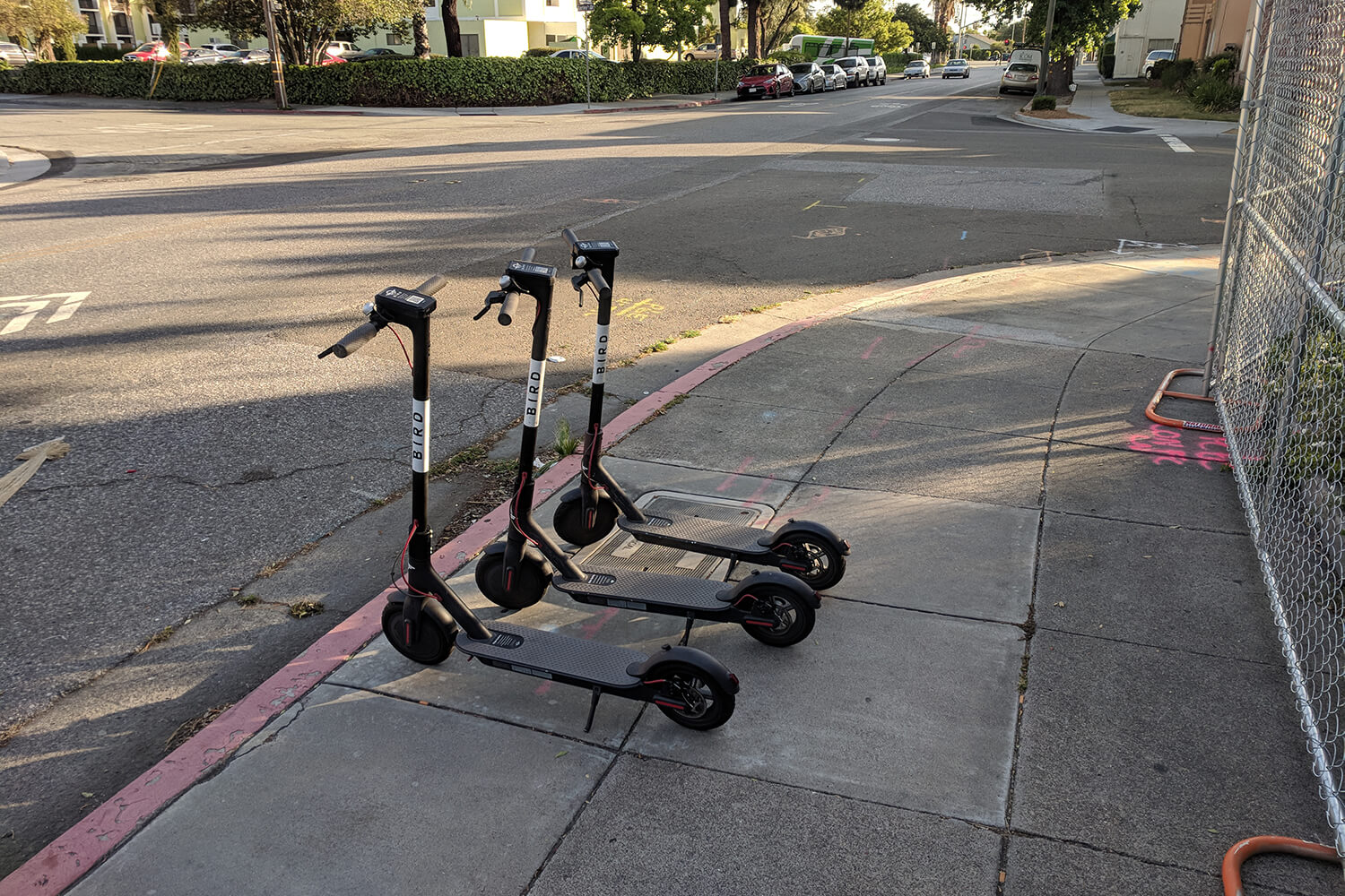 Bird electric scooter fleet / Wikimedia, Grendelkhan