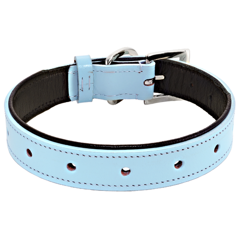 Concha Theme Collars - Puttin On The Dog