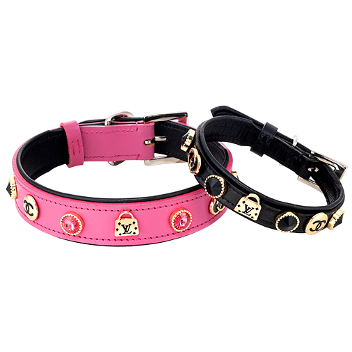 Designer Dog And Cat Collar Concha Collar