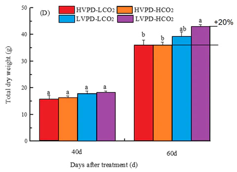 Impact of ideal VPD on Tomato Plant Dry Weight