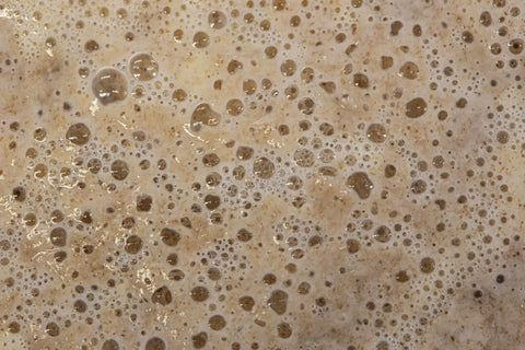 yeast fermentation