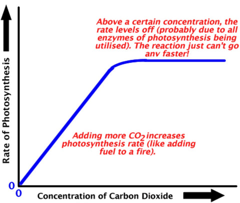 co2_needs_480x480.jpg?v=1663969902