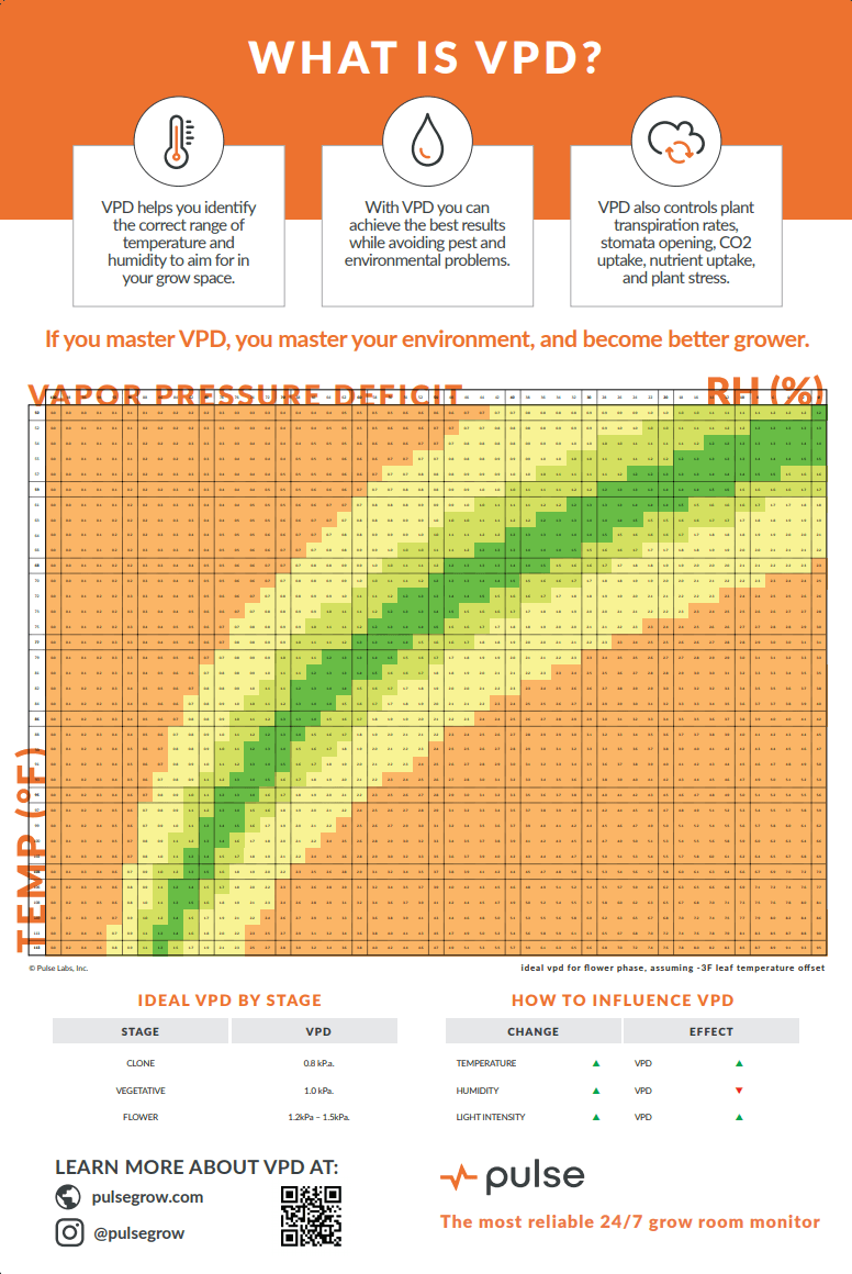 Digital IR Thermometer - Pulse Grow