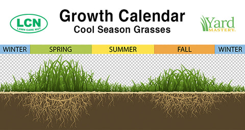 cool season lawn fertilizer