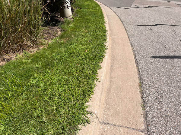 crabgrass curb