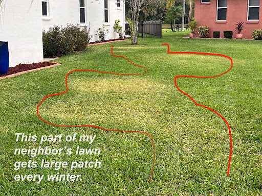 Large Patch Lawn Disease | The Lawn Care Nut