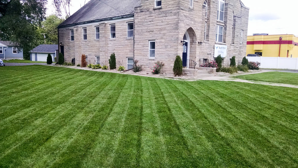 organic lawn