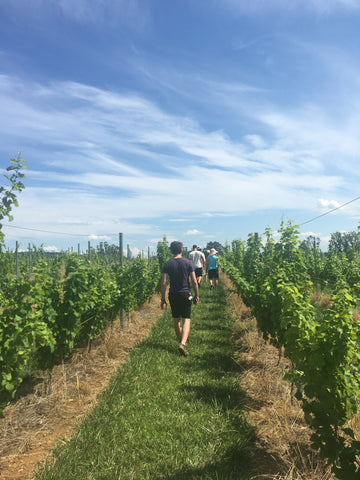 Photo of family in vineyard