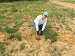 photo of family planting vineyard