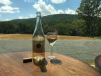 photo of wine in bottle & glass