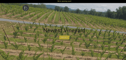 photo of vineyard website page