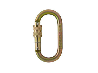 D-Ring Carabiner With Screw Lock