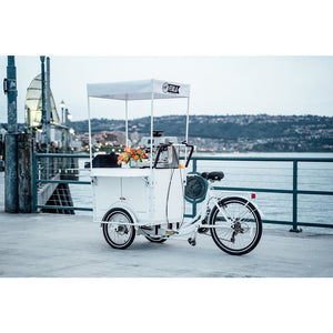 Mobile Ice Cream Freezer Bike Bicycle Cart with Fridge for Sale - China Ice  Cream Bike, Ice Cream Cart