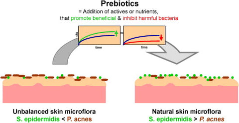 skin microbiome at the summit spa