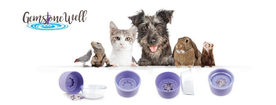 Crystal-Healing-Pet-Bowl