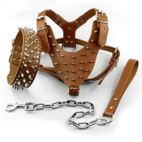 collar harness leash set