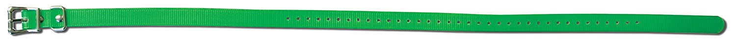 Sportdog 3/4" Green Collar Strap Sac00-10817