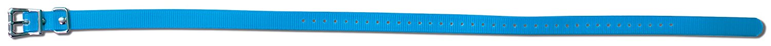 Sportdog Sac00-11921 Collar Strap Blue 3/4"