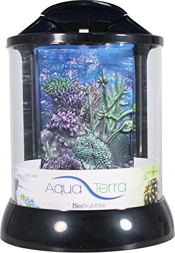 Biobubble Bio-20080501 3d Background For Aquaterra 1 Gallon