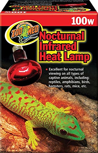 100 Watt Infrared Inc Nocturnal Bulb RS 100